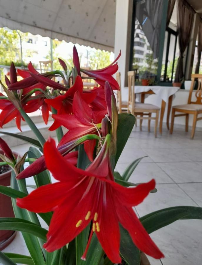 Hotel Rossi Вльора Екстер'єр фото